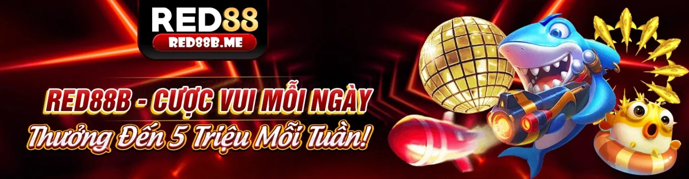 Hình ảnh chính hướng dẫn cá cược an toàn và hiệu quả trên qq8894